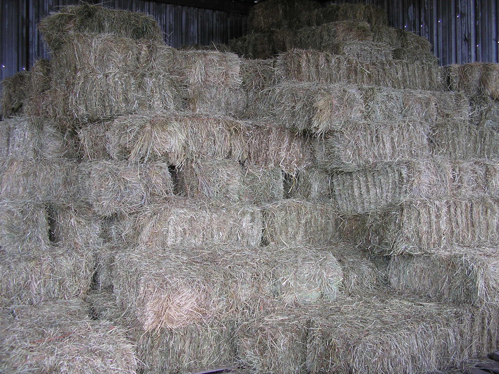 HAY SALES